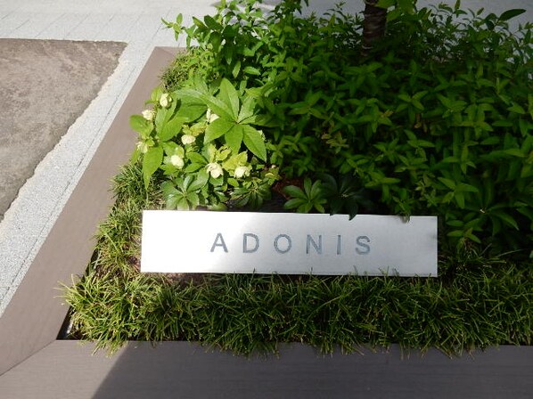 ADONIS（アドニス）の物件外観写真
